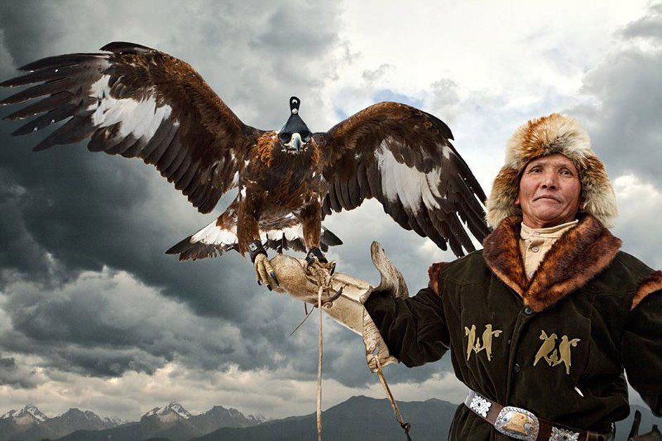 Bald Eagle Челси
