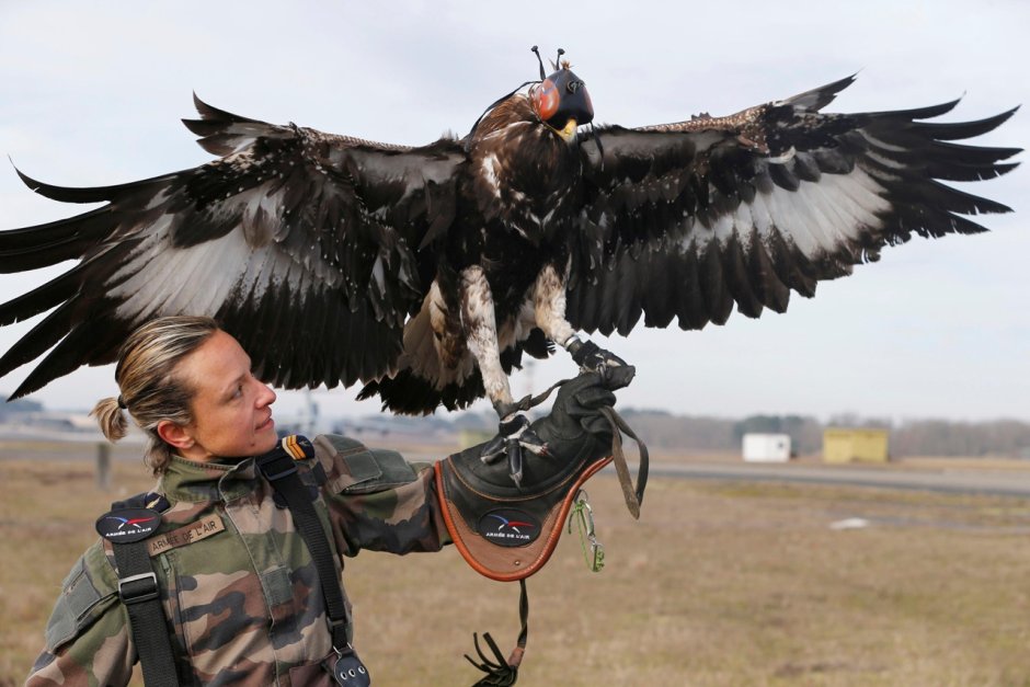 Скафандр Космонавта