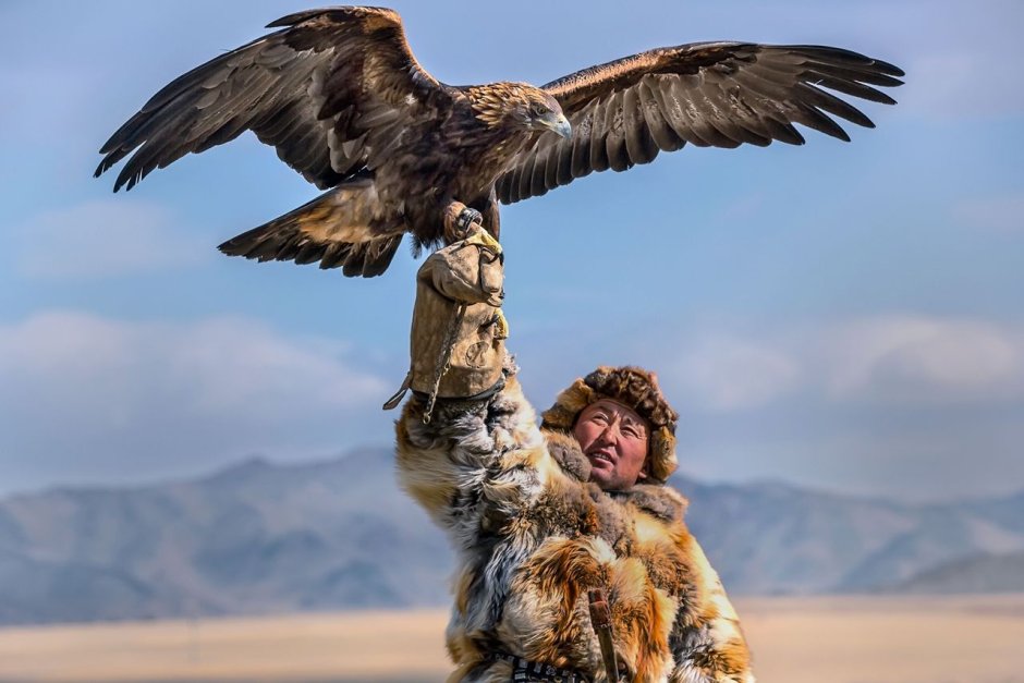 Индейцы largest Golden Eagle ever recorded