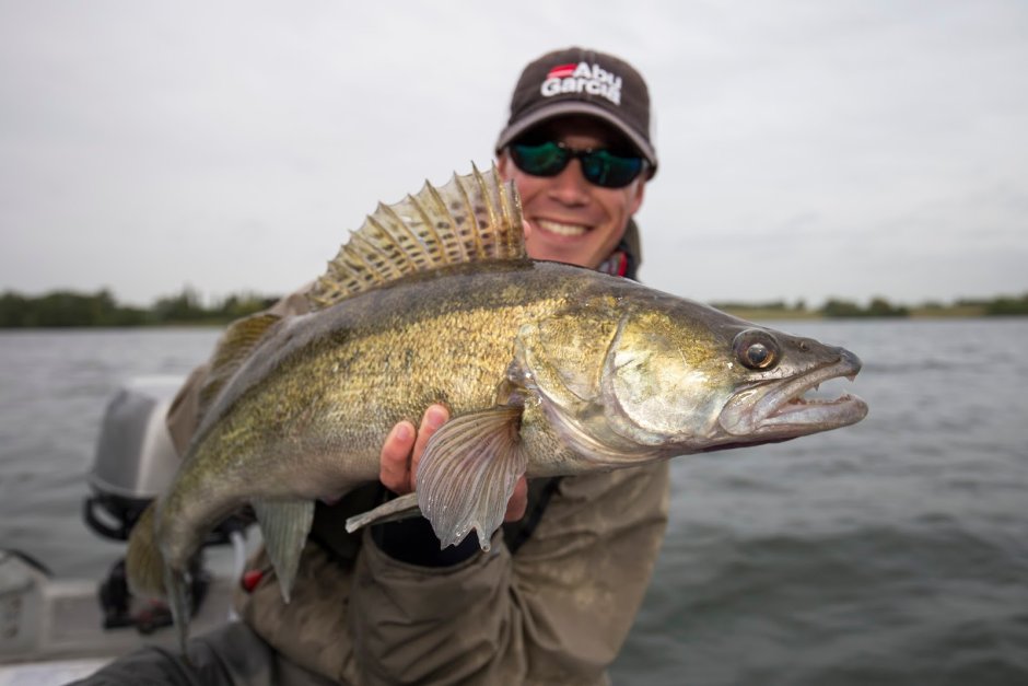 Судак Zander Fish
