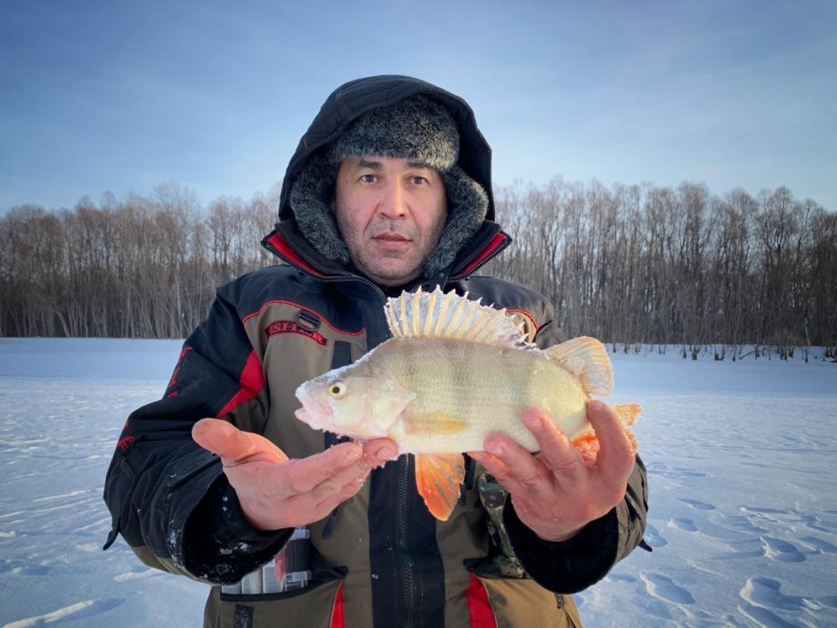 Карп (Cyprinus Carpio)