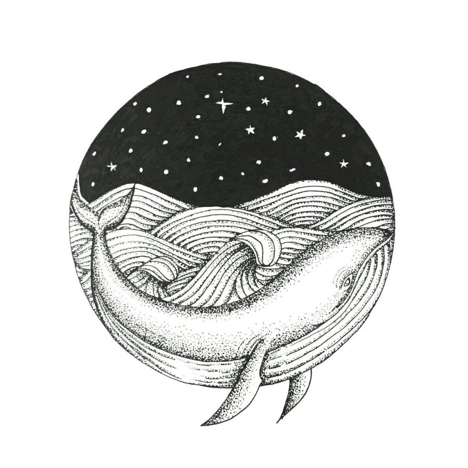Картина кит