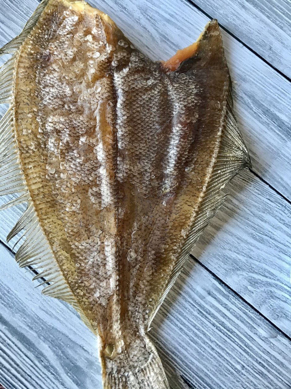 Мурманская камбала Ерш