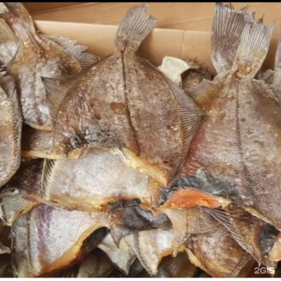 Морской Ерш и камбала отличие