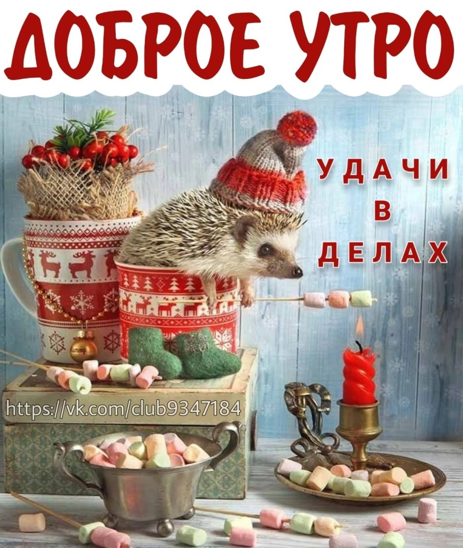 Елена Ерёмина Ёжики