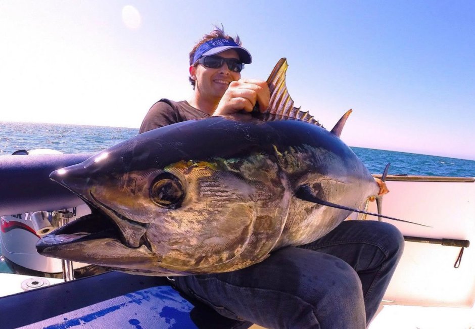 Рыбалка на огромного тунца