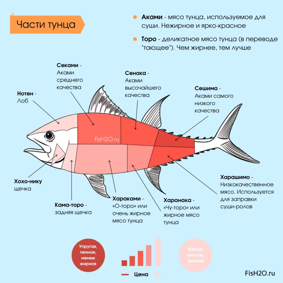 Части рыбы схема разделки