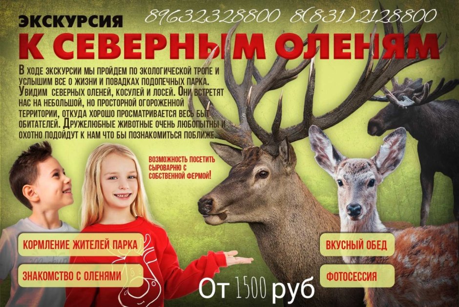 Глаза Северного оленя зимой