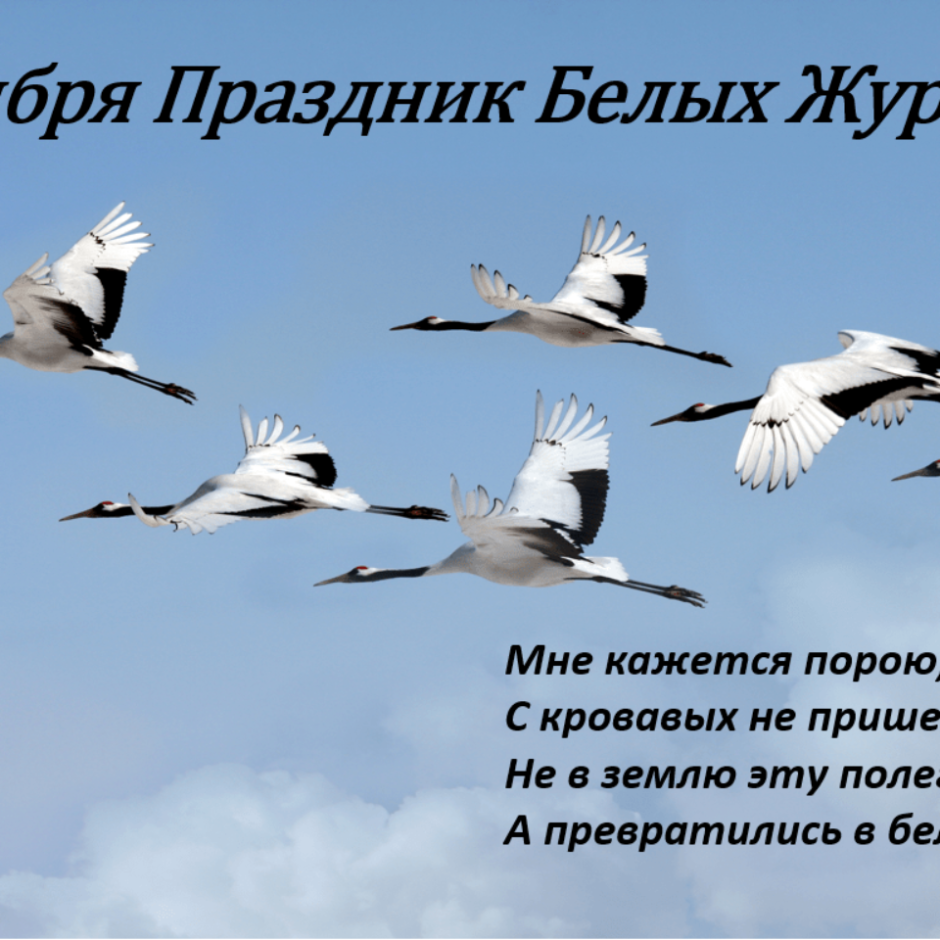 Вопросы по празднику белые Журавли тест