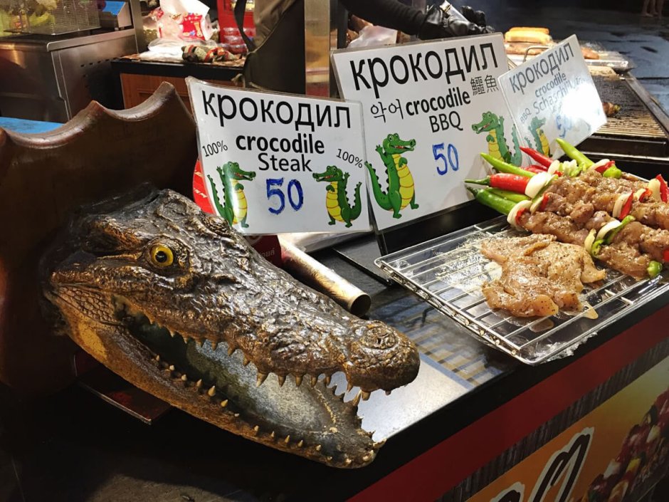 Крокодил без верхней челюсти