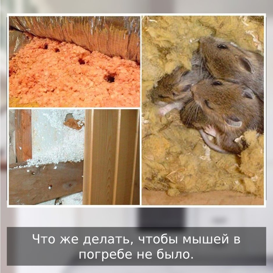 Нора рисунок для детей