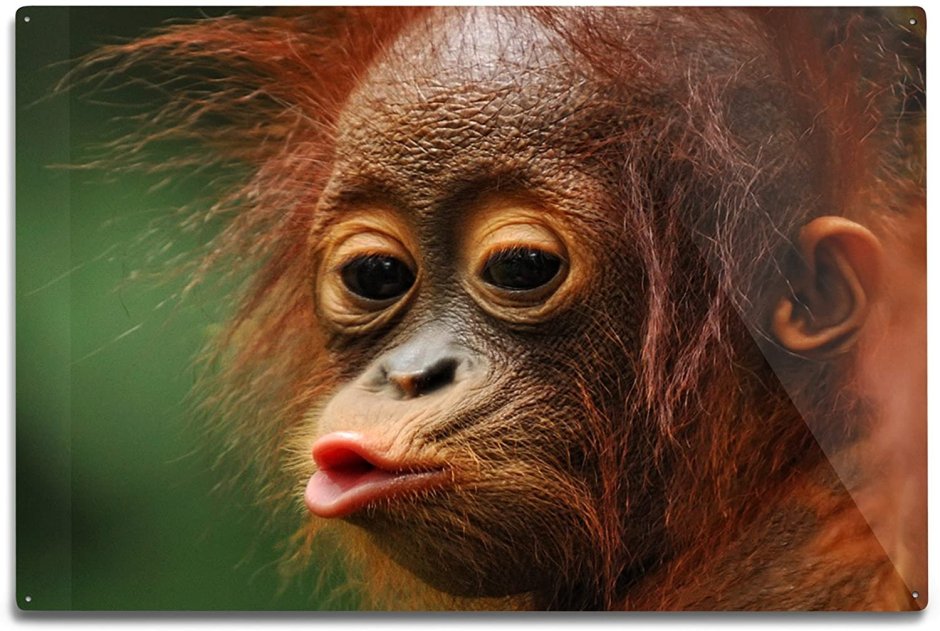 Dawn of the Planet of the Apes Цезарь