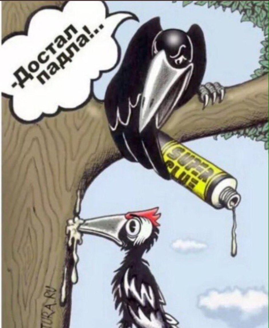 Стукач карикатура