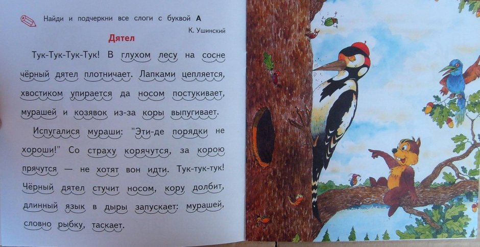 Ушинский рассказ дятел