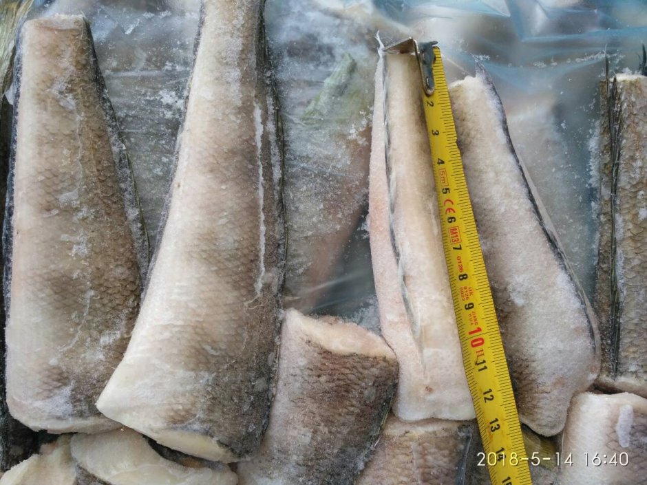 Нототения мраморная