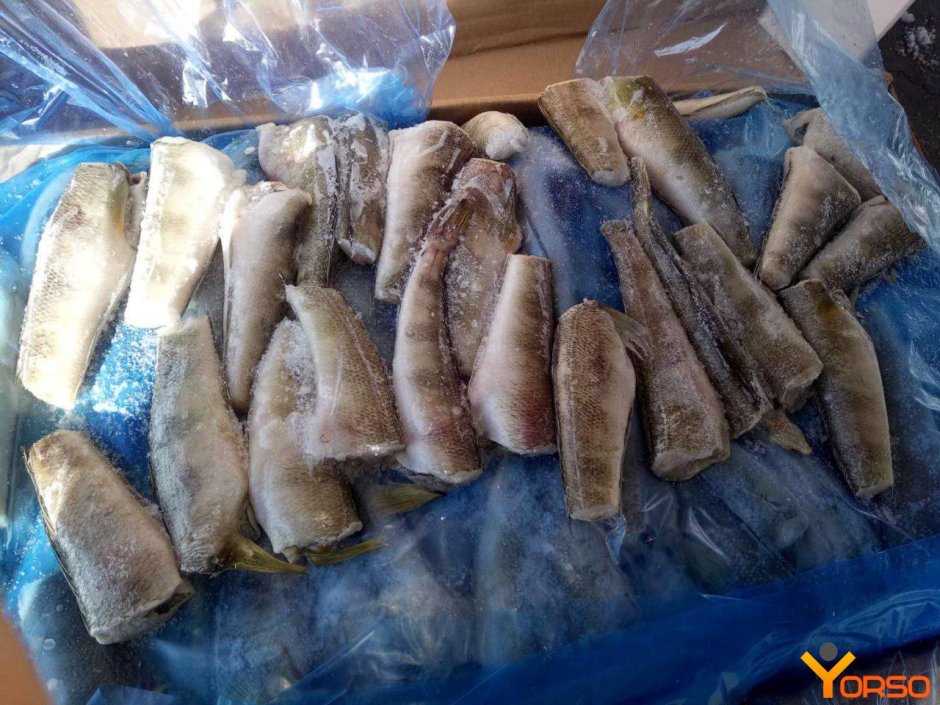 Пользователь без аватара