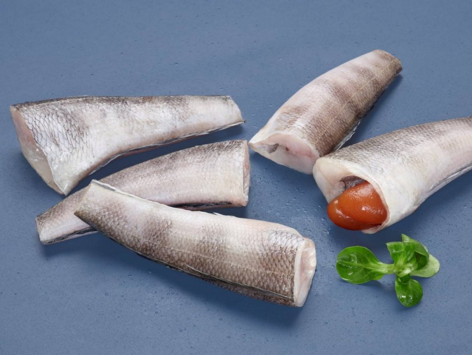 Белая рыба нототения