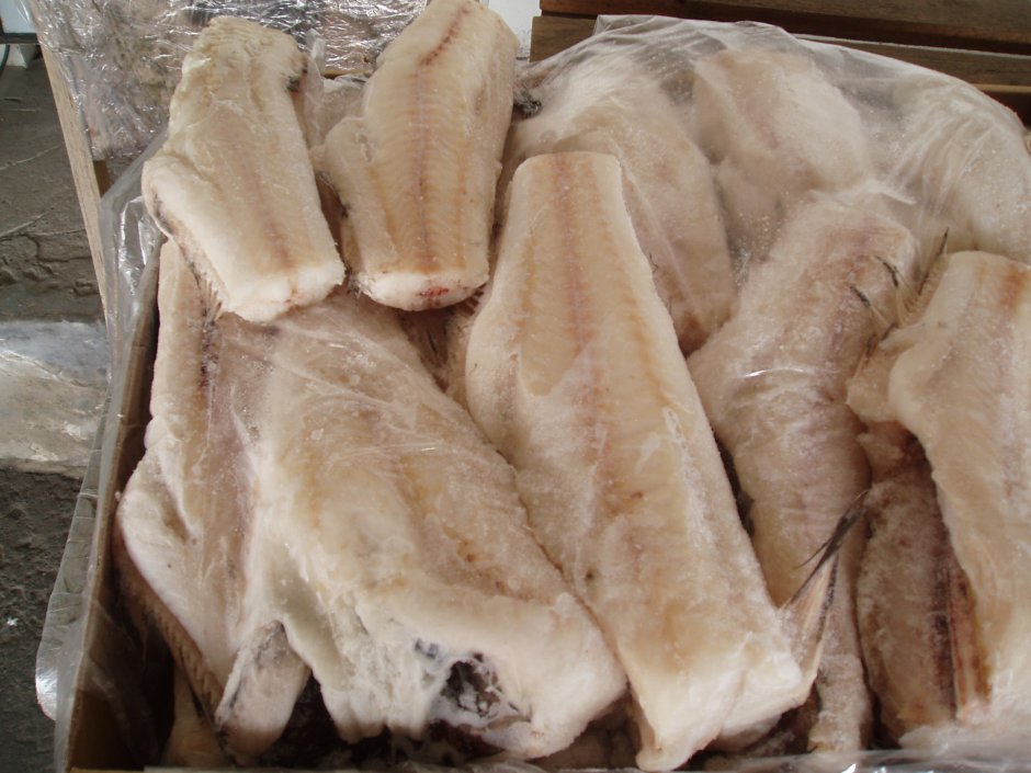 Нататея рыба