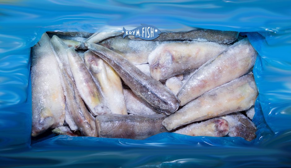 Нототения рыба фото