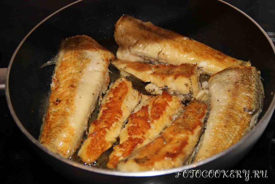 Рыба нататень фотографии