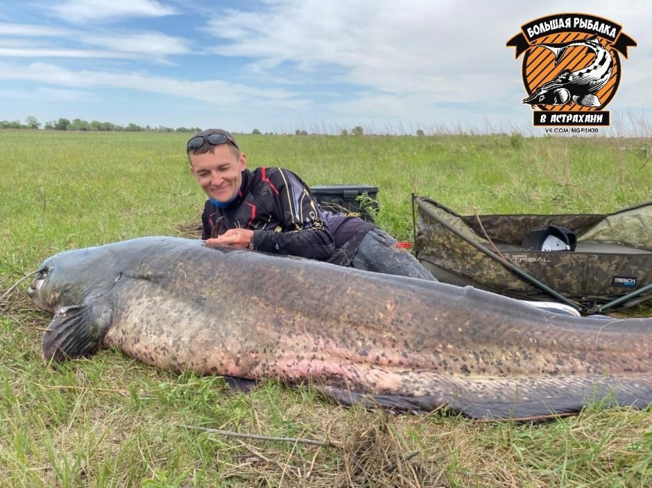 Огромная рыба