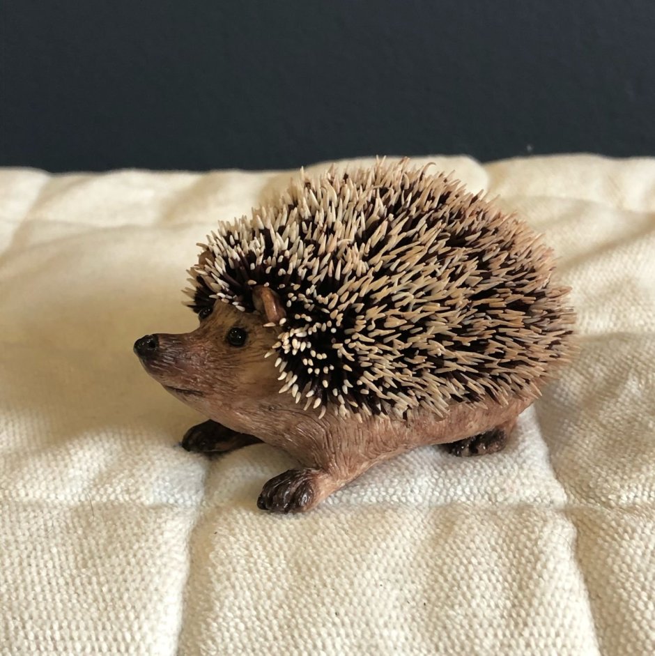 Южнокитайский еж