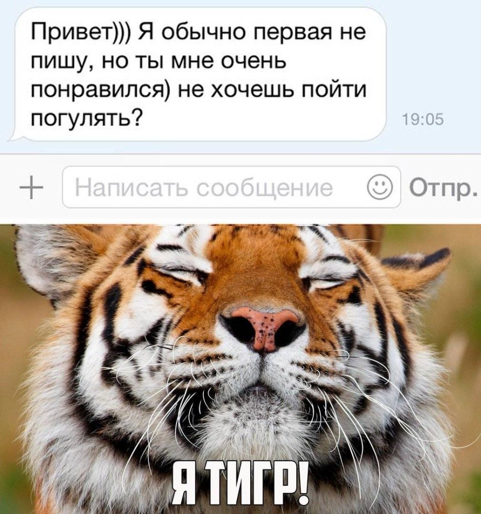 Леопардовый принт