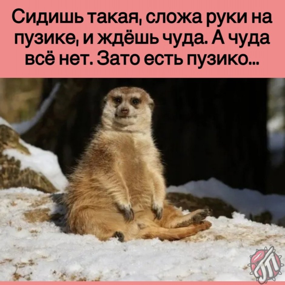Сижу жду