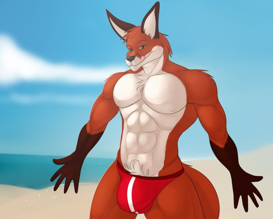 Фурри качок Fox