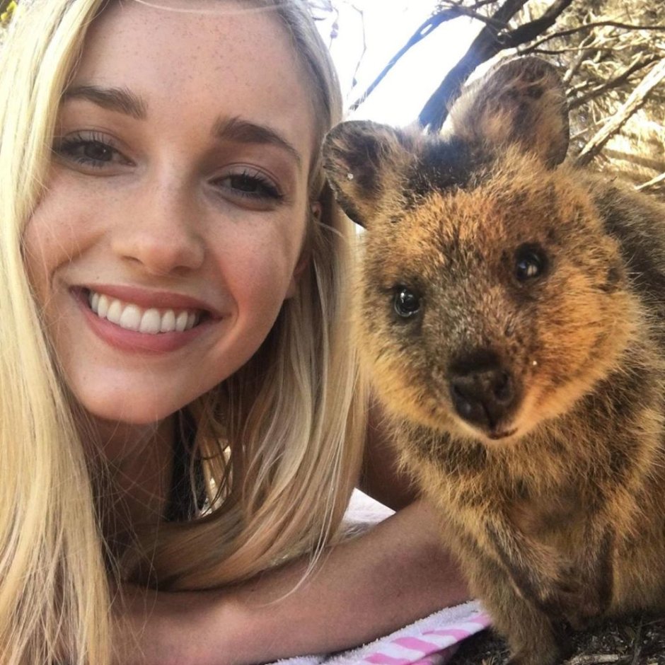 Квокка и злая версия