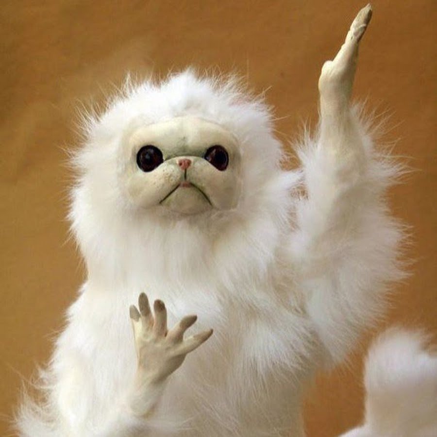 Чучело кота