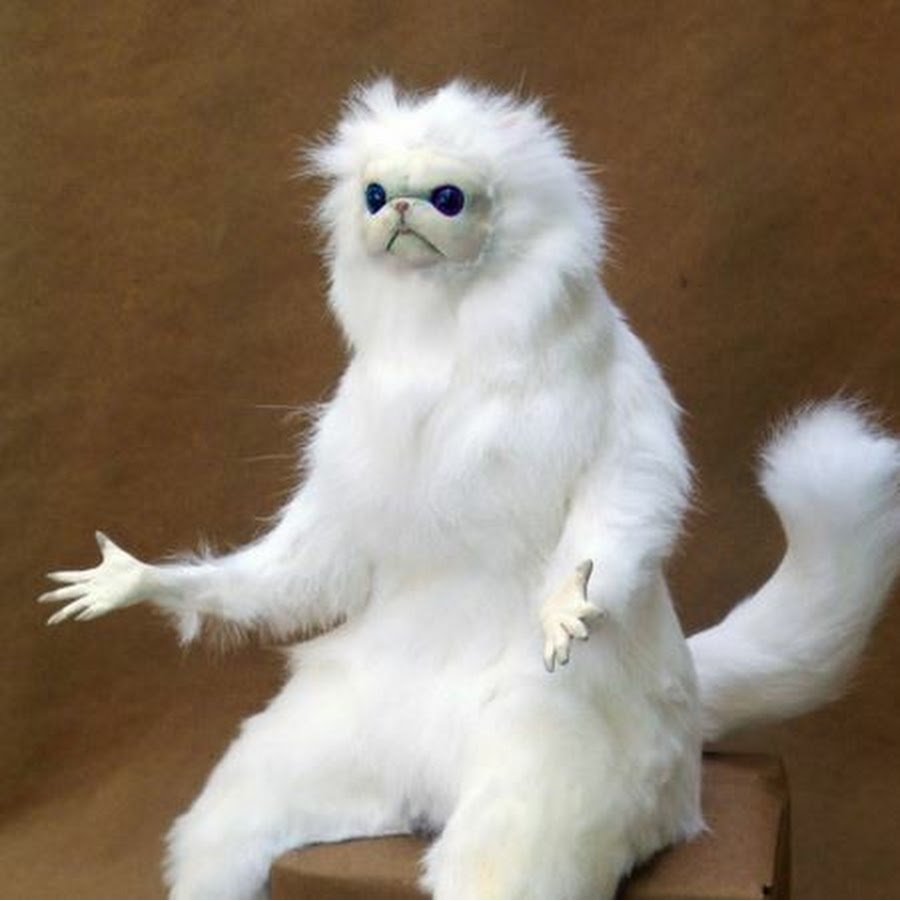 Белая обезьяна Мем