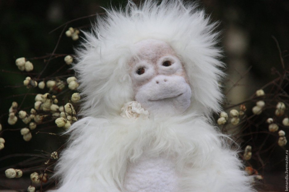 Пушистая обезьяна