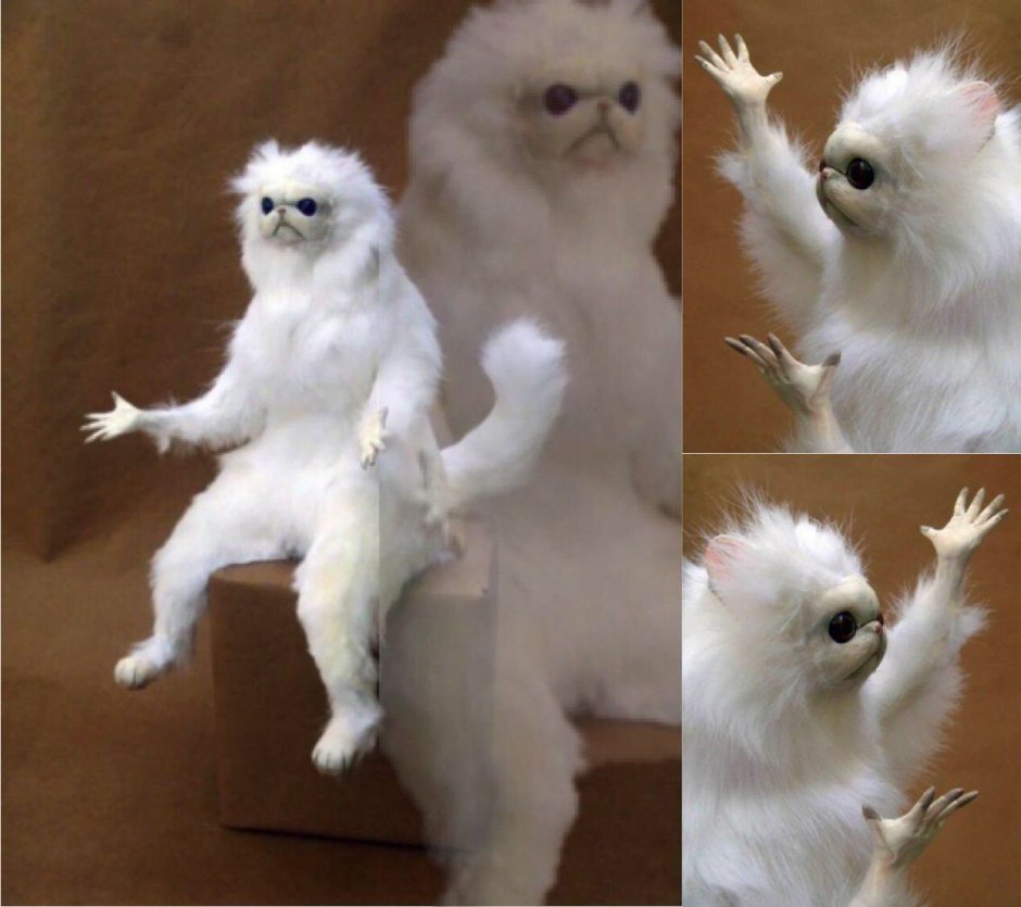 Чучело белого кота