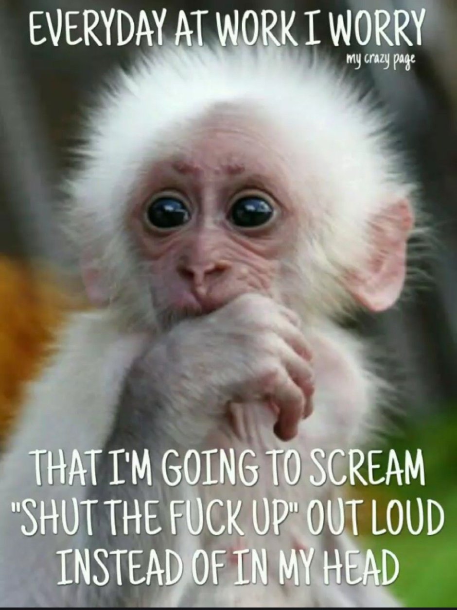 Белая обезьянка