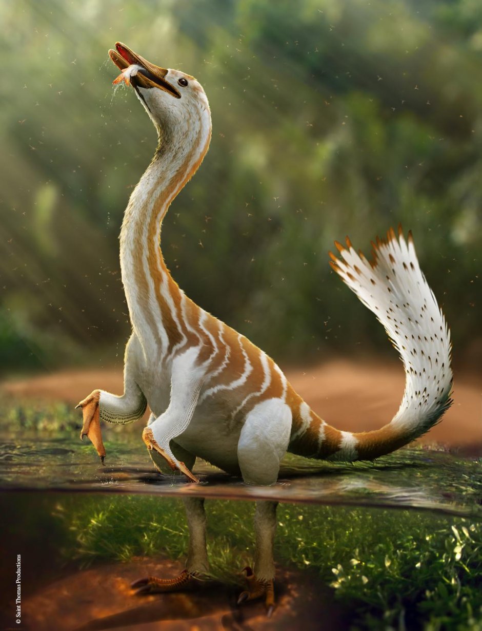 Диногусь Halszkaraptor escuilliei