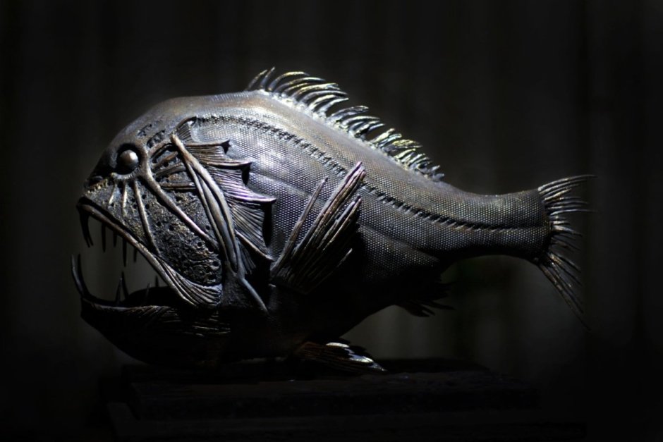 Длиннорогий Саблезуб (Anoplogaster cornuta)