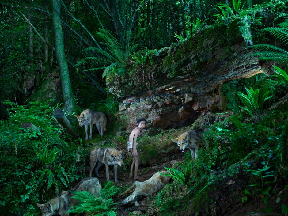 Животные которые живут в джунглях