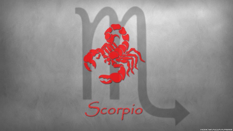 Скорпион обои
