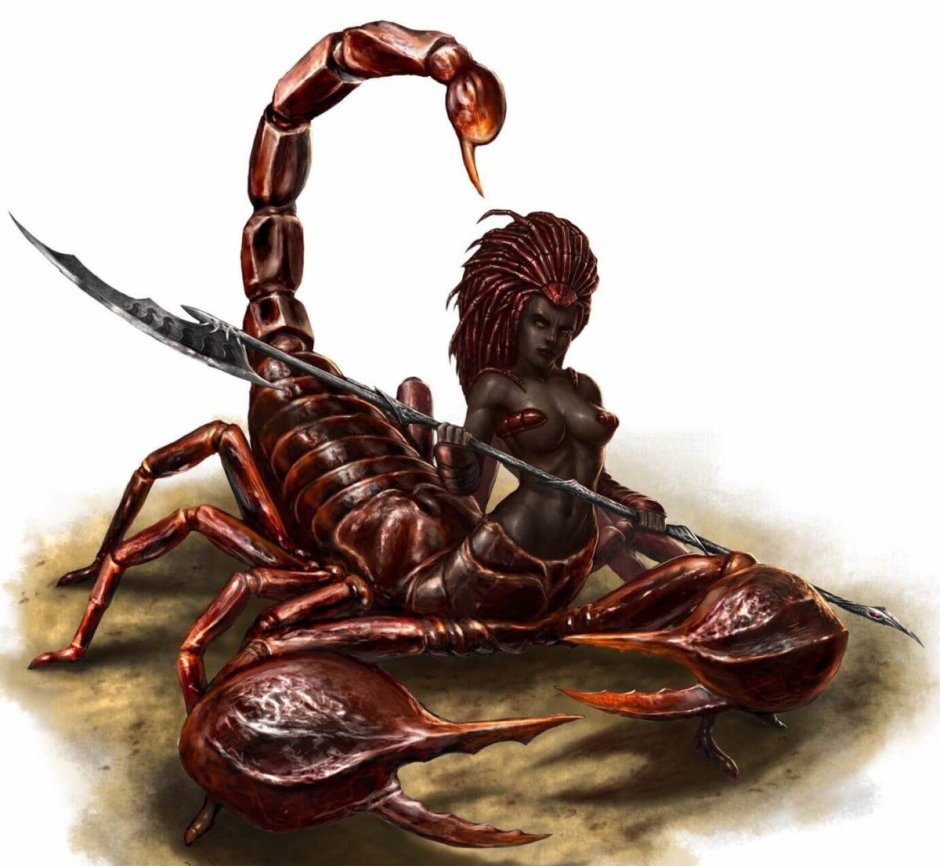 Скорпион DND