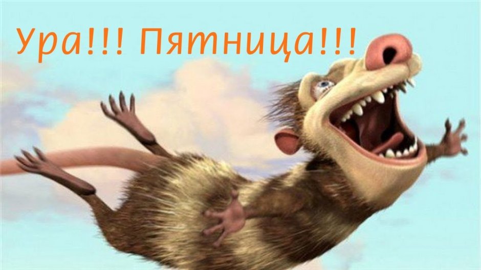 Ледниковый период опоссумы я умею.летать