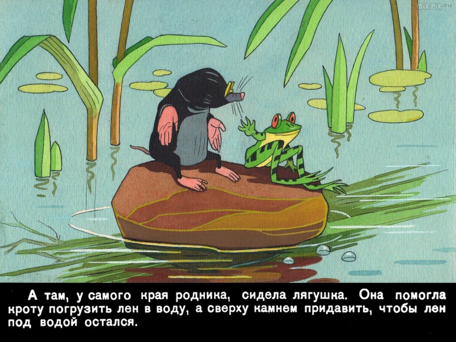 Астраханский заповедник выхухоль