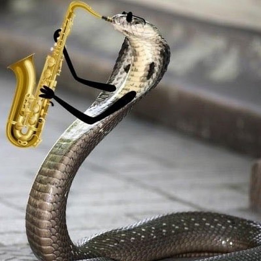 Змеи с руками