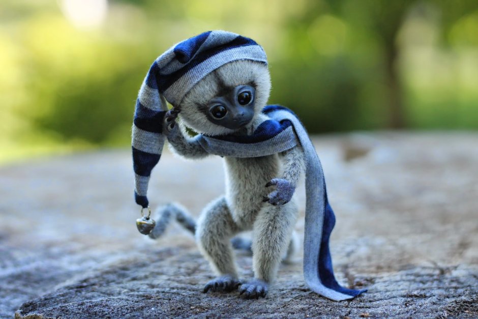 Мини мартышка