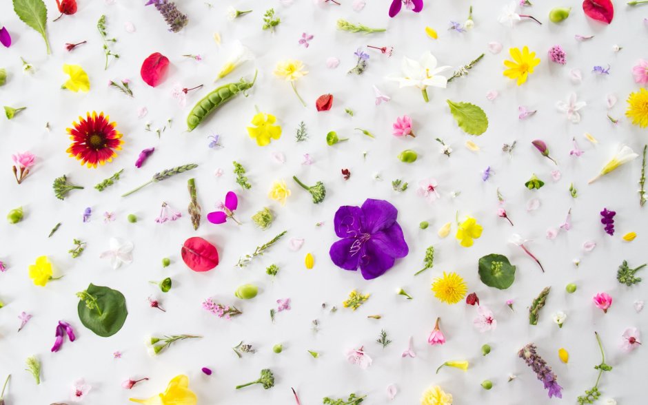 Мелкие яркие цветочки