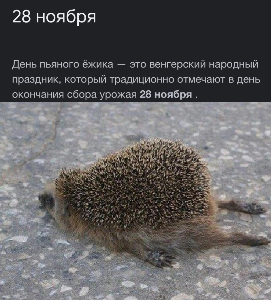Ежик улыбается