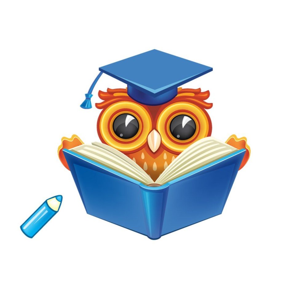 Сова с книгой