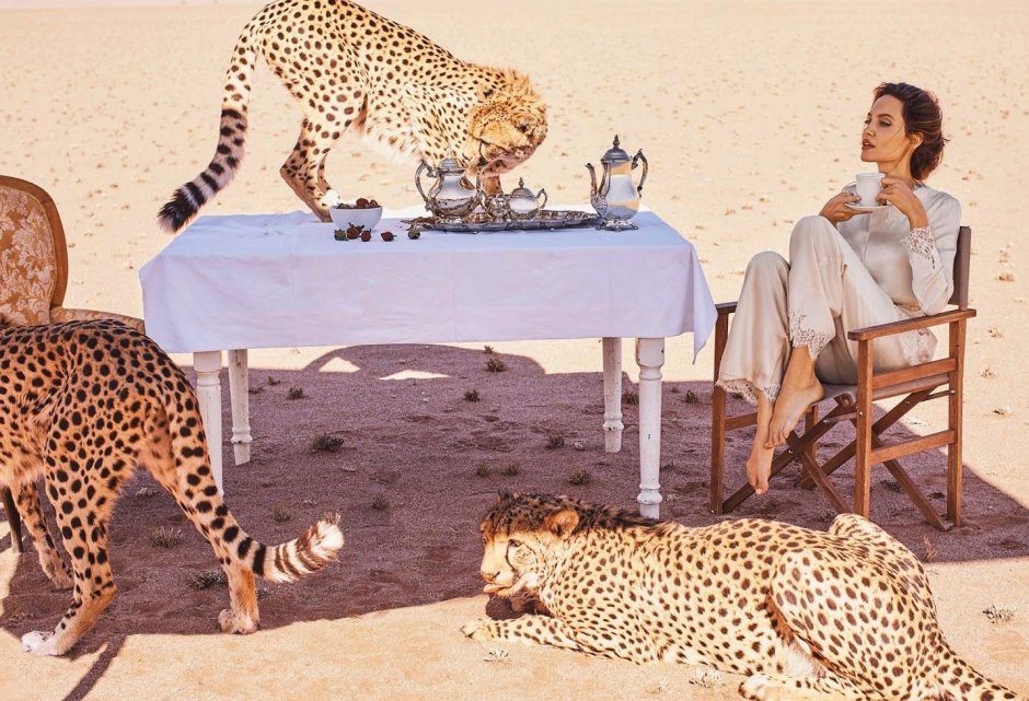 Фотосессия Анджелины Джоли с леопардами