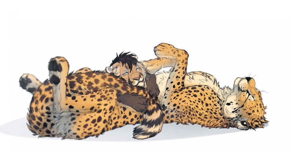 Фурри самки гепард ферал