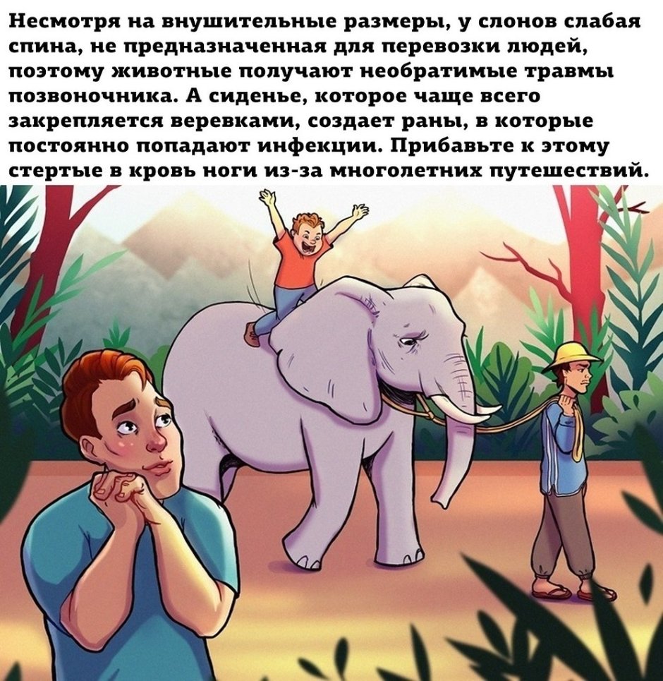 Гусь качок